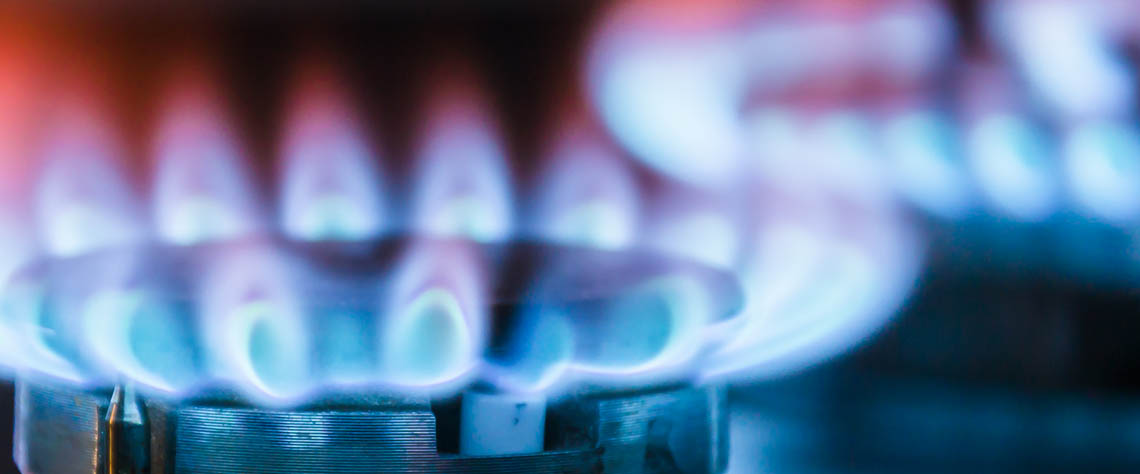 Fuel burning methane gas flames