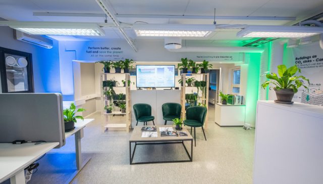 A green office room